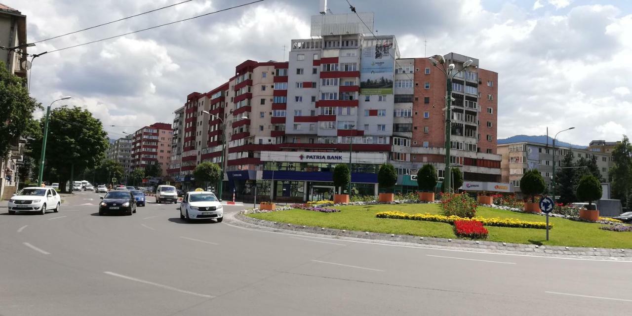 Ama Apartment Mountain View & Parking Брашов Екстер'єр фото