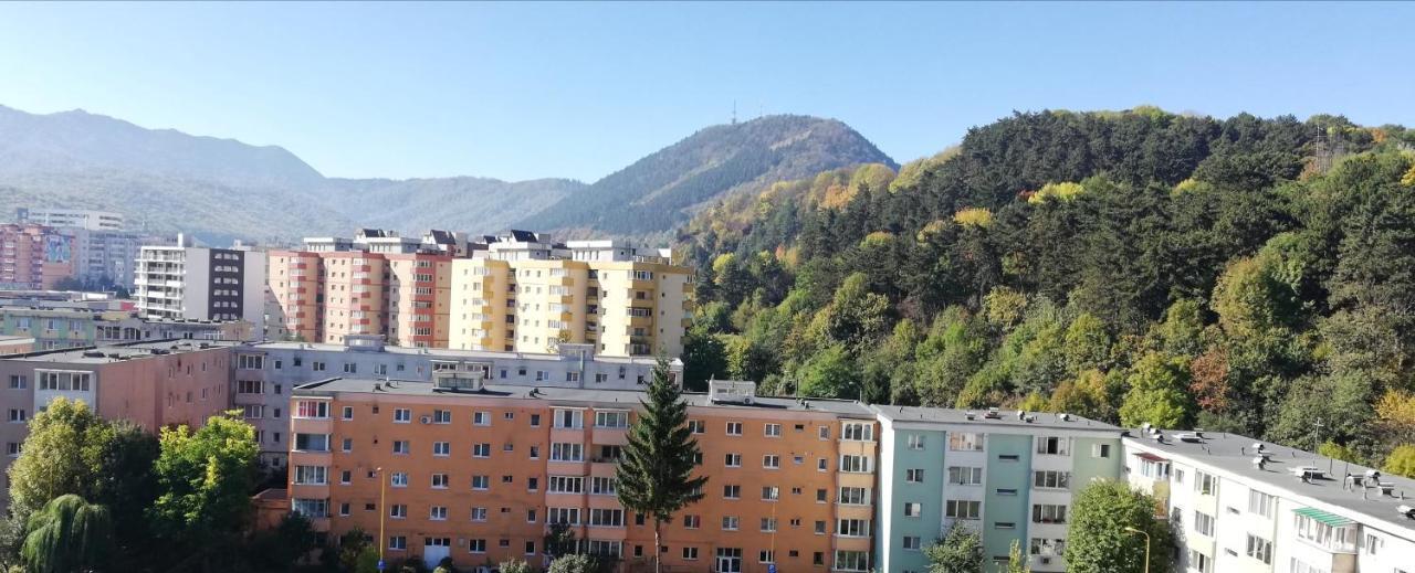 Ama Apartment Mountain View & Parking Брашов Екстер'єр фото